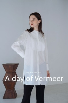 A day of Vermeer